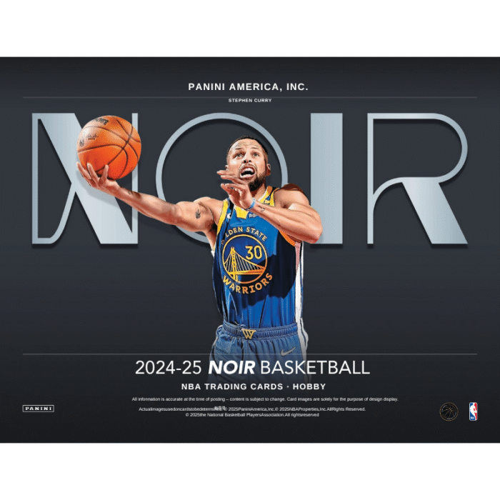 2024/25 Panini Noir Basketball Hobby 4 Box Case