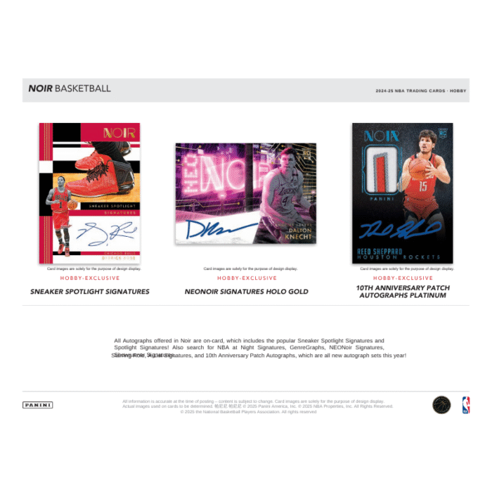 2024/25 Panini Noir Basketball Hobby 4 Box Case