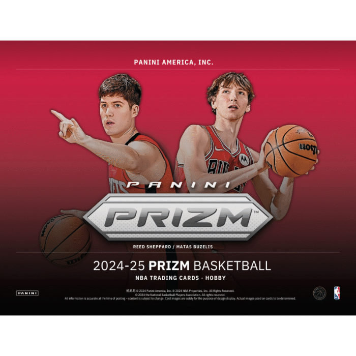 2024/25 Panini Prizm Basketball Hobby 12 Box Case